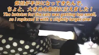 猫達用の炬燵が手狭になってきたんで、大きめの炬燵に変えました！The kotatsu for the cats was getting too small, so I replaced it with