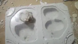 The formicariums