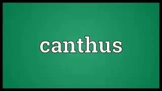 Canthus Meaning