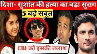 Nitesh Rane Claims Rohan Rai knows Everything about Sushant and Disha Salian Murder