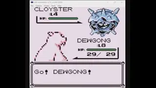 Pokemon Red Randomizer - What a scam!