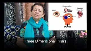 Dr. Nilima Patel - 1.3 Postural Control: The Three Dimensional Pillars