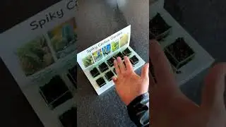 WOW!! Check this out!!! Cactus Eco Grow Kit👉Cactus Plant