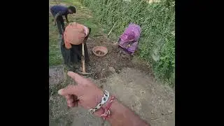 RENEW LAWN AREA MAINTAINENCE  WORK ...