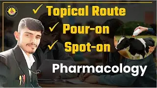 Topical Route, Pour-on, Spot-on क्या होता है? | Veterinary Pharmacology Simplified in Hindi