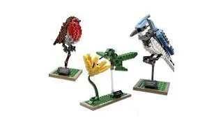 36009 Lepin Птицы копия Lego 21301 LEGO IDEAS