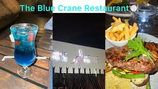 The Blue Crane Restaurant Pretoria ||restaurant 🔌 || nature vipes 🍃🌅||roadto500sub🥰