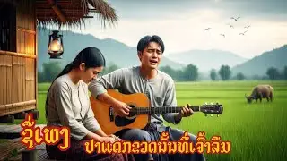 Lao Sad Love Song  | ຊື່ເພງ  ປາ​ແດກ​ຂວດ​ນັ້ນ​ທີ່​ເຈົ້າ​ລືມ🎧🎸