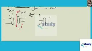 [Biology] When you get cold you may shiver. The shivering response is a reflex in which the hypoth