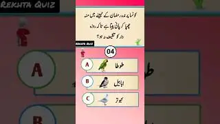 Islamic Qustions and Answers | Urdu knowledge | Urdu Quiz | Gernal Knowledge|#quiz #knowledge