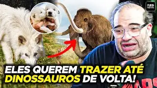 OS CIENTISTAS REVIVERAM UM LOBO EXTINTO H&Aacute; 10 MIL ANOS E AGORA QUEREM...