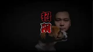 现在的怪事儿怎么好像跟之前的不同了呢