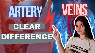 Difference between Artery and Vein | Class 10 | Life Process |  Circulatory System| MRA's