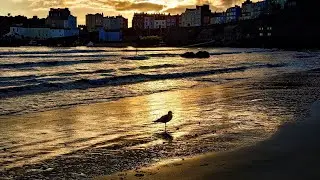 Tenby - A beautiful seaside town in Wales #tenby #wales #pembroke #visitwales #harbour #wanderlust 