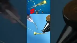 Оливковое польское перо Евро Нимфа Короткий YouTube