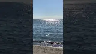 Relaxing Sun Shimmering on the Ocean