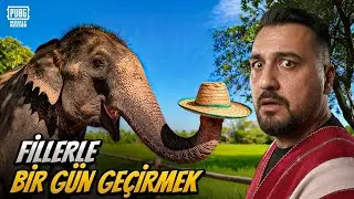 MEZARCI İLE TAYLANDDA FİLLERLE BİR GÜN! I @MEZARCITR