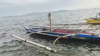 SOUNDS OF WIND AND WAVES FOR RELAXATION  #wind #waves