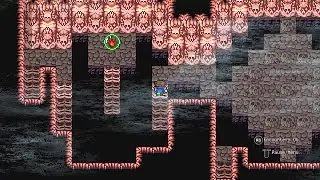 FINAL FANTASY V_getting Carbuncle