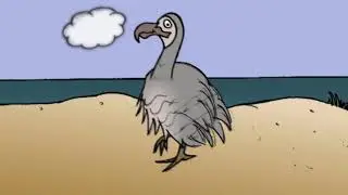 Dodo Bird Extinction - 2D Animation