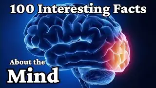 The Most Relaxing Facts About The Mind for Better Sleep&mdash;No Adverts