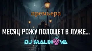 Песня на стихи Есенина – «Месяц рожу полощет в луже» | DJ Malinova | Новая песня 2025 (Премьера)