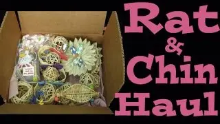 Rat & Chinchilla Haul