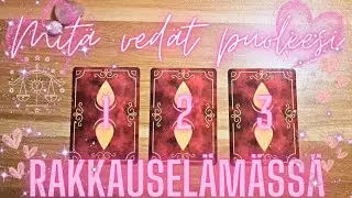 Mitä vedät puoleesi rakkauselämässäsi?💖🧲💖🔮TAROT🔮