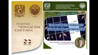 Tres parámetros clave en la fisiología del espermatozoide