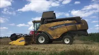 CX 6080