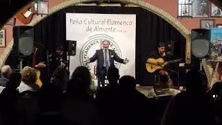Actuación de Enrique el Extremeño, Peña Curltural Flamenca de Almonte