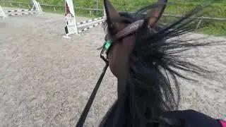 POV Cours de saut d'obstacles du 7 mai 2025 (avec chute !)