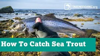 How To Catch Sea Trout