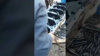 how face chamber opening isuzu fvz bus shot video viral