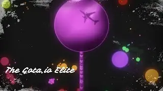 👽 The Gota.io Elite 🥇