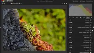 Darktable Warum solde man ein Bild entwikeln ?