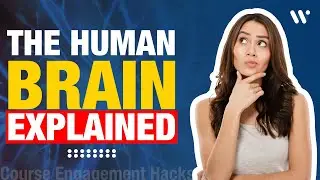 The Human Brain EXPLAINED: Course Engagement Hacks
