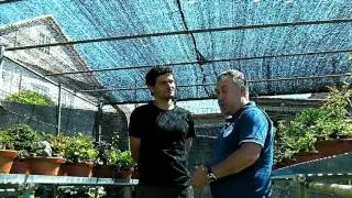 Entrevista al maestro del bonsai Manuel Germade.