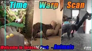 Time Warp Scan Welcome to Jurassic Park animals ◆ Tik Tok Compilation ◆ Time Distortion animal