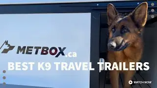 METBOX best dog trailers on the market