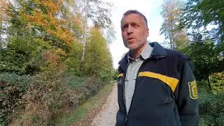 Waldsch&auml;den im Landkreis Esslingen