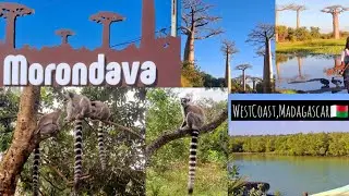 Exploring Morondava City,Madagascar🇲🇬/Lemurs/BaobabTrees..#fyp..#travel..#madagascar 