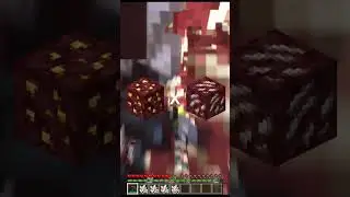 QUARTZ X NETHER GOLD FORTUNE III !!! #satysfying #minecraft #mining #info #interesting