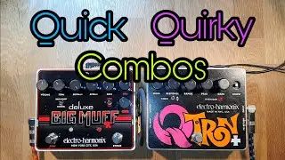 Quick Quirky Combos: Deluxe Big Muff & QTron+