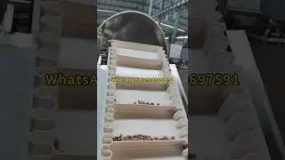 Dog Food Making Machine Price in India Pet Food Processing Pellet Machine for Animal Feed