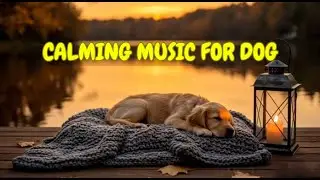 12 HOURS of Anti-Anxiety Sleep Music for Dogs Alone at Night 🐾🎶 | Promote Deep, Peaceful Rest