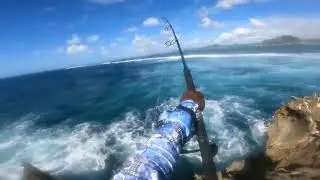 Landbase popping big barracuda smashes my reefs bandits floating 100g stickbait 😀💪