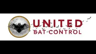 Lubbock Bat Removal and Control | 866-747-2287