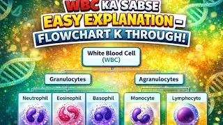 WBC TYPES EXPLAINED | White Blood Cells Flowchart | WBC Ka Sabse Easy Explanation | Biology