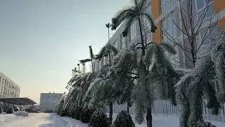 Наша зима!